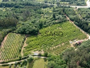 Finca 3 habitaciones