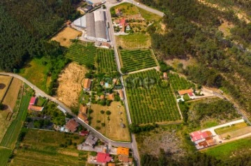 Farm 5 Bedrooms