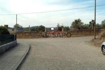 Terreno Rústico