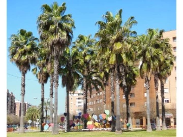 Veure Garatge, Huerta Rosales - Valdepasillas, Badajoz, Huerta Rosales - Valdepasillas en Badajoz