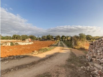 Ver Terreno, Sant Lluís, Menorca en Sant Lluís