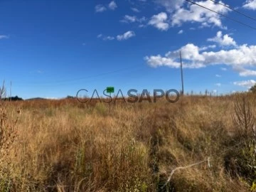 Veure Sòl no urbà, Buenavista de Valdavia, Palencia en Buenavista de Valdavia