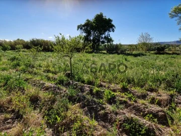 Veure Terreny, Botorrita, Zaragoza en Botorrita