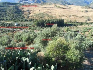 Veure Finca, Algodonales, Cádiz en Algodonales