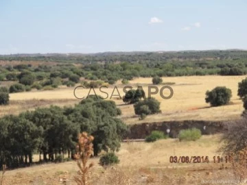 Ver Finca Rustica, Almedina, Ciudad Real en Almedina