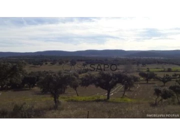 Ver Finca ganadera, Centro - Plaza Mayor, Ciudad Real, Centro - Plaza Mayor en Ciudad Real