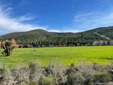 Ver Finca Rustica, Piedrabuena, Ciudad Real en Piedrabuena