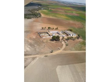 Ver Finca Rustica, Alcázar de San Juan, Ciudad Real en Alcázar de San Juan