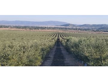 Ver Finca agrícola, Miguelturra, Ciudad Real en Miguelturra