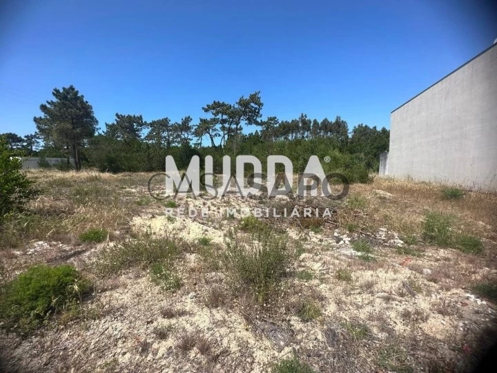 Terreno para comprar na Murtosa