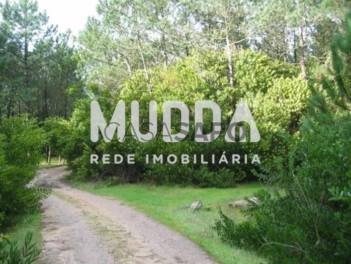 Terreno para comprar na Murtosa