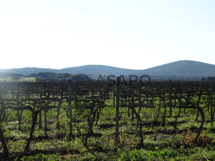 Terreno para comprar em Vila Viçosa