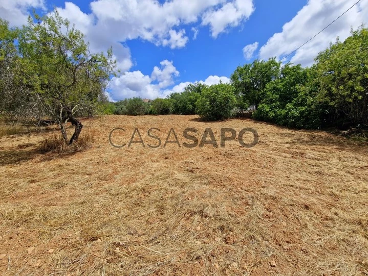 Terreno para comprar em Loulé