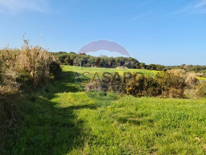 Terreno para comprar em Sintra