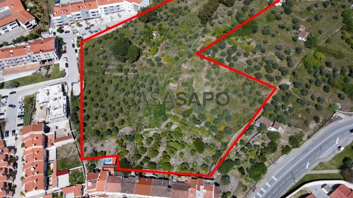 Terreno Urbano para comprar em Portalegre