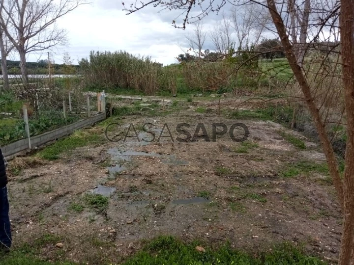 Terreno para comprar em Alcácer do Sal