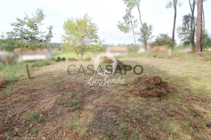 Terreno para comprar em Barcelos