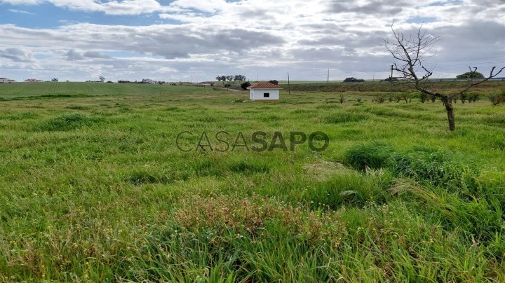 Terreno para comprar em Castro Verde