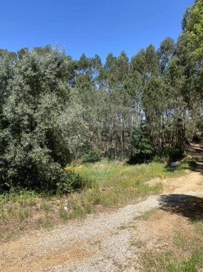 Terreno para comprar em Oliveira do Bairro