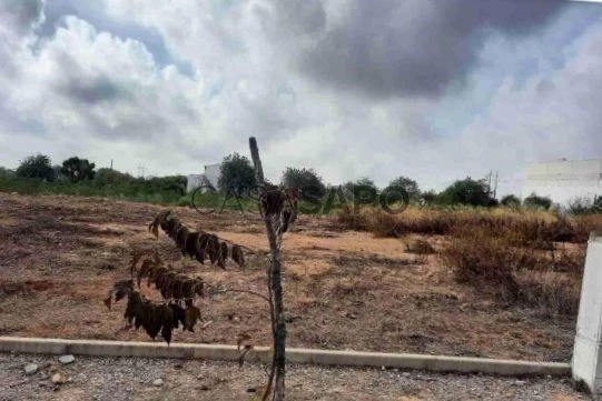 Terreno para comprar em Tavira