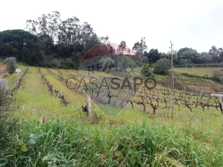 Terreno para comprar em Caldas da Rainha