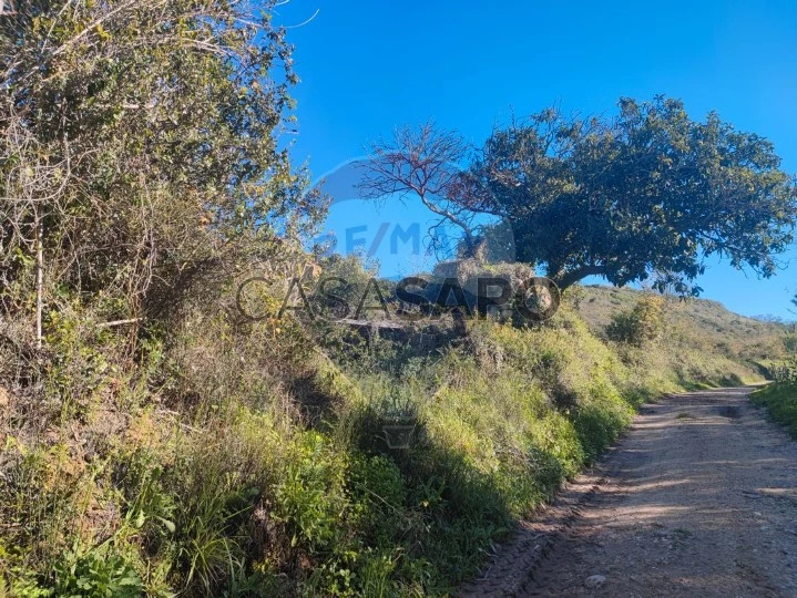 Terreno para comprar em Alenquer