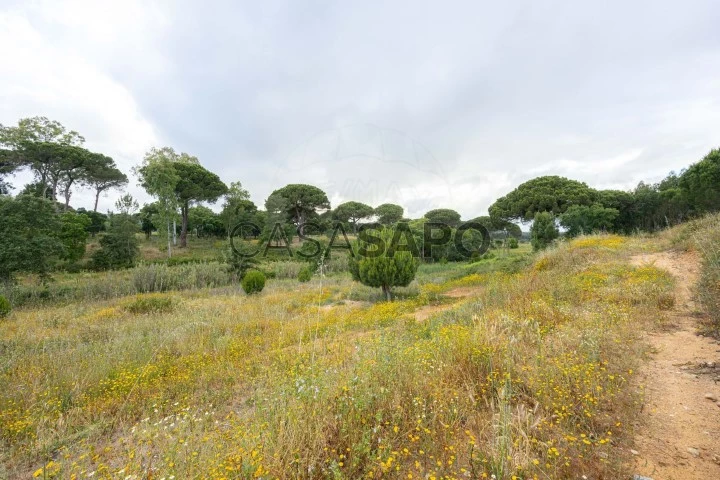 Terreno para comprar em Alenquer