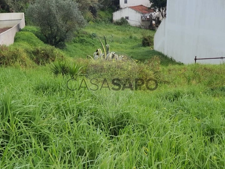 Terreno para comprar na Azambuja