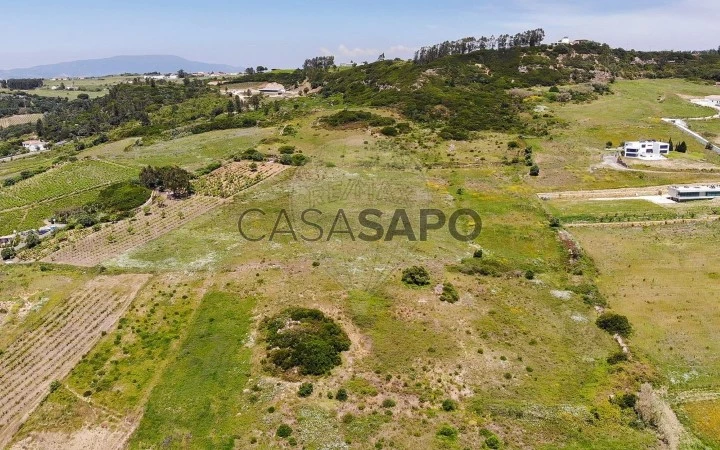 Terreno para comprar em Arruda dos Vinhos