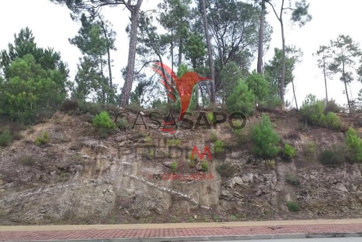 Terreno para comprar em Mangualde