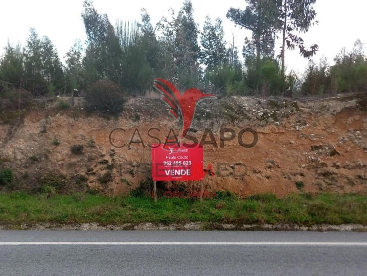 Terreno para comprar em Oliveira do Hospital