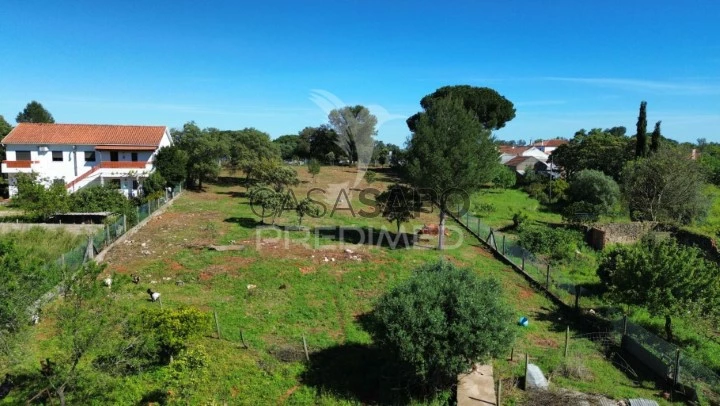 Terreno para comprar em Alcanena