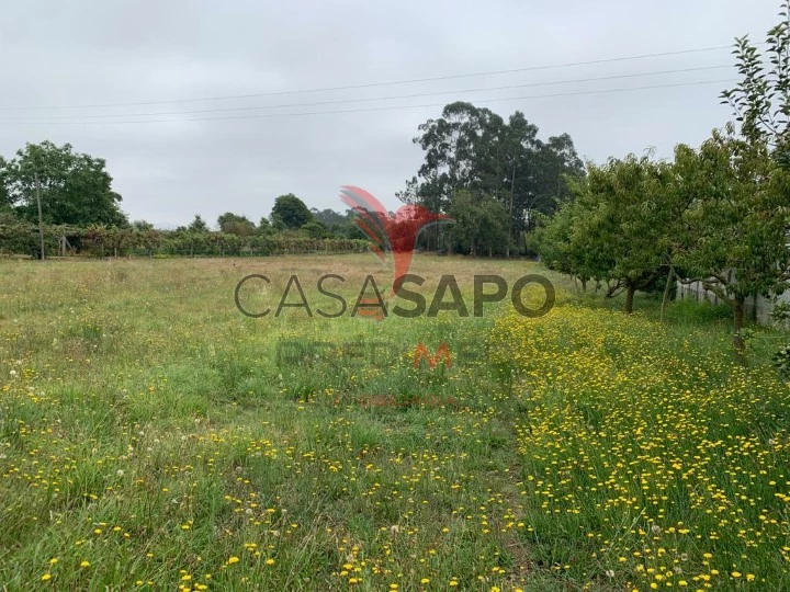 Terreno para comprar em Vila do Conde