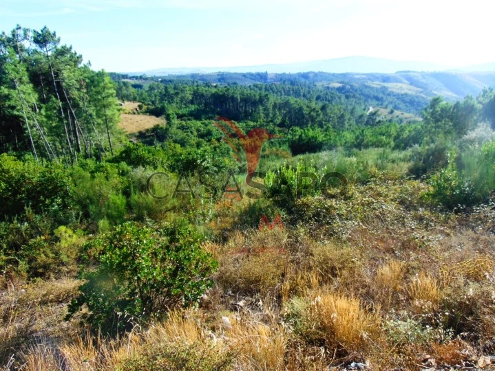 Terreno para comprar em Vila Real