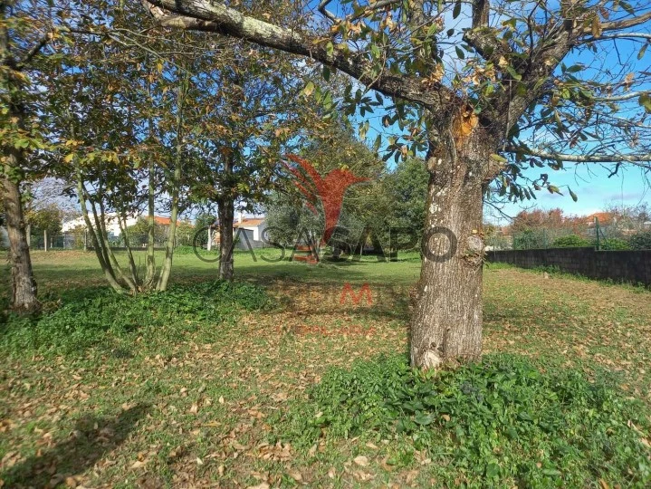 Terreno para comprar em Oliveira do Bairro