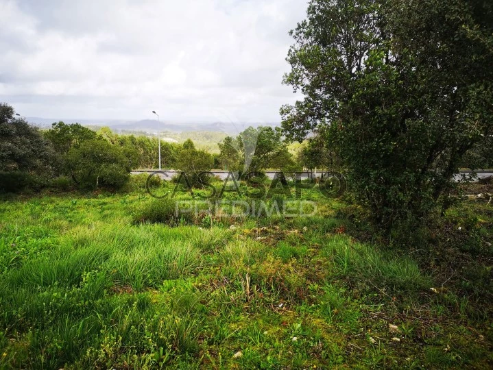 Terreno para comprar em Leiria