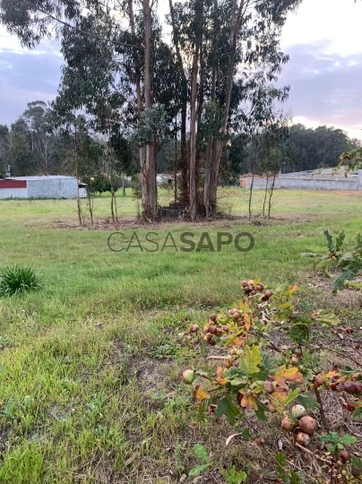 Terreno Rústico para comprar em Oliveira do Bairro