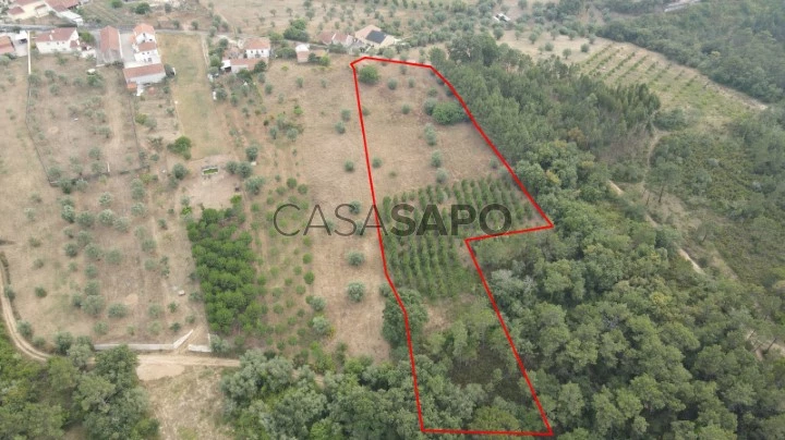 1 - Terreno para construçao Ourem