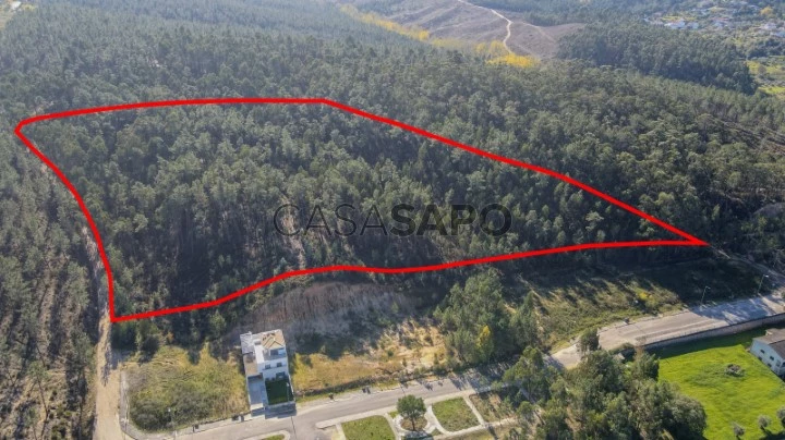 1 - Terreno Florestal Ourem-min