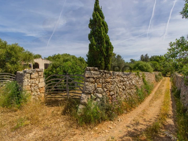 Country house just a few minutes from the centre of Sant Lluís