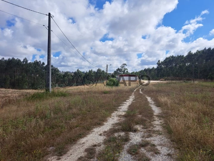 Terreno Rústico para comprar em Torres Vedras