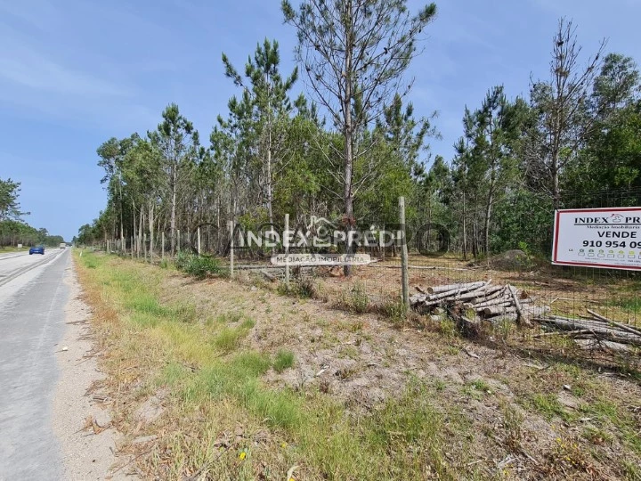 Terreno para comprar na Figueira da Foz