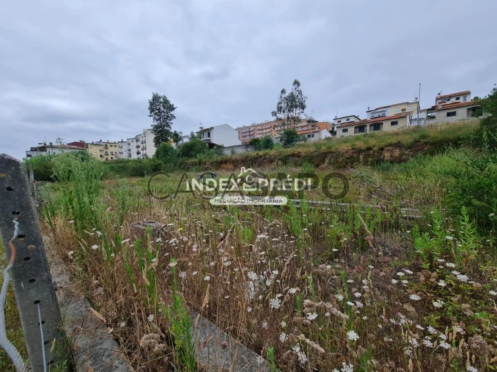 Terreno para comprar em Águeda