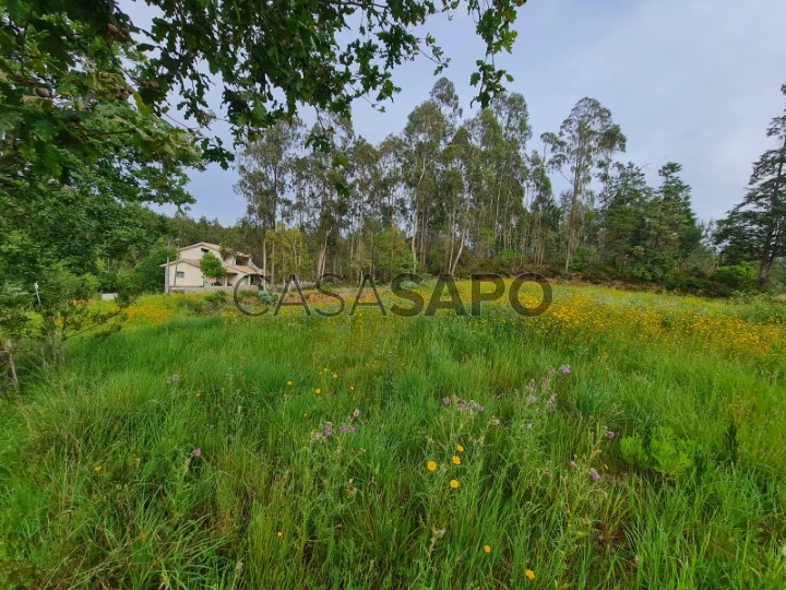 Terreno Urbano para comprar em Águeda