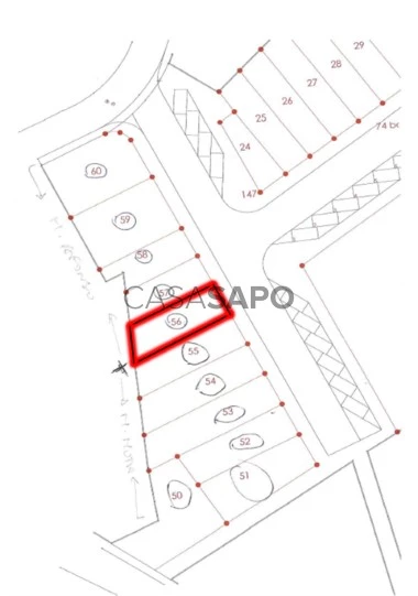 Lote 56