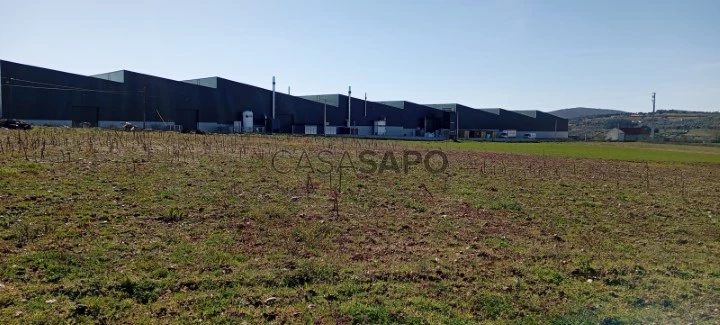 Terreno Industrial para comprar em Bragança