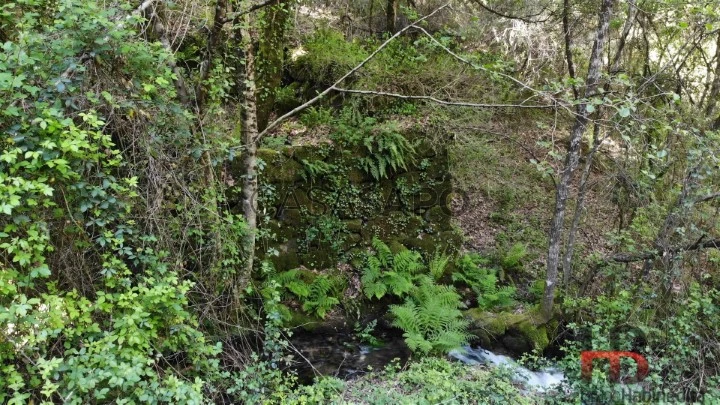 Terreno Rústico para comprar em Cabeceiras de Basto