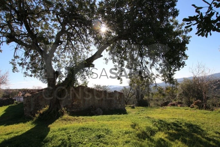 Terreno para comprar em Tavira