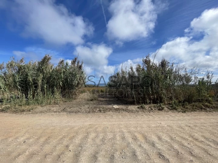 Terreno para comprar em Peniche