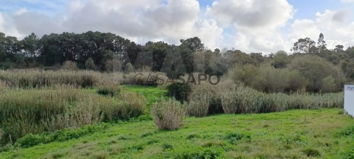 Terreno para comprar no Bombarral